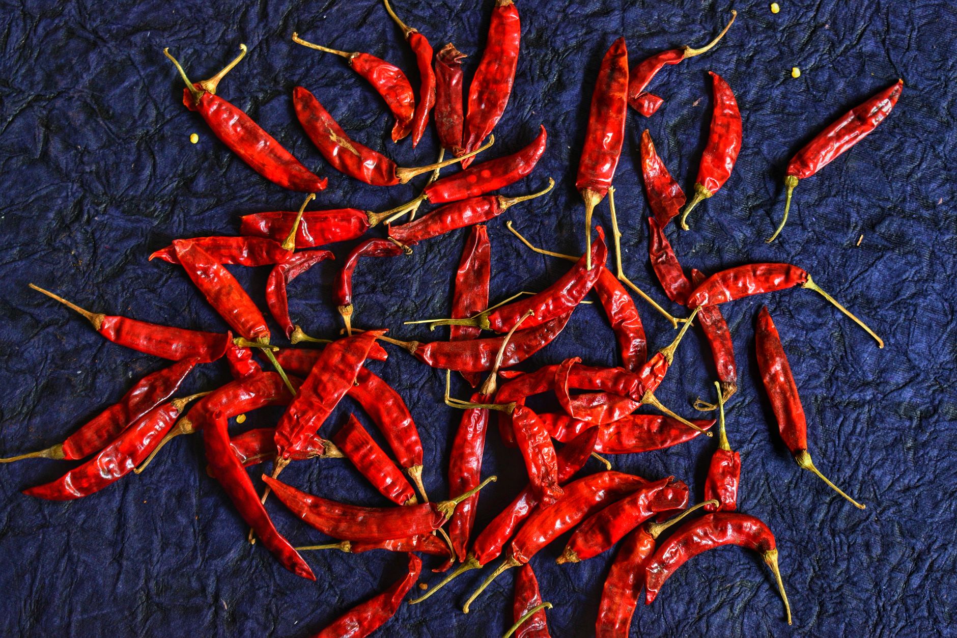 Dried Chili