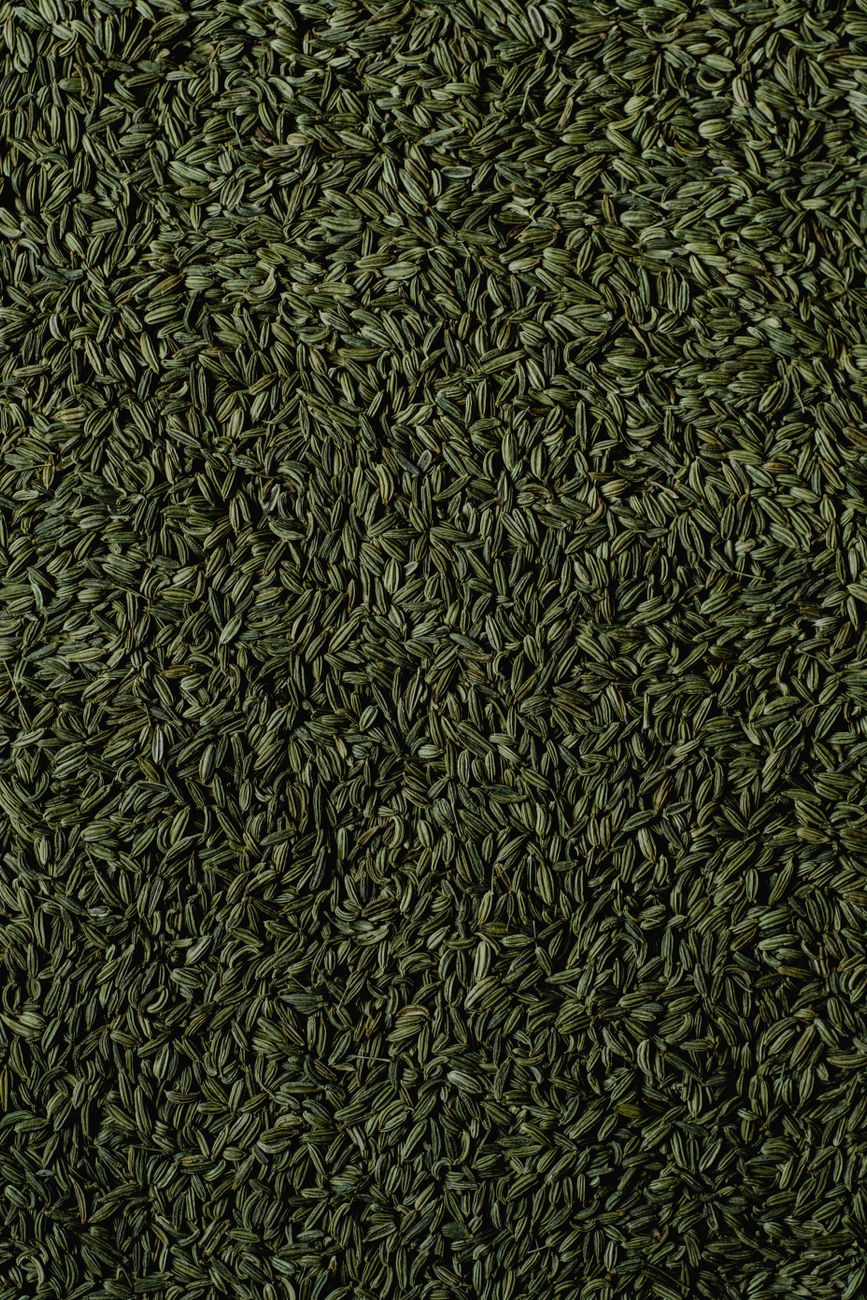 Fennel Seed