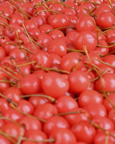 Cherry