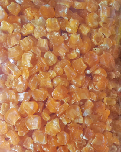 Sweet Corn